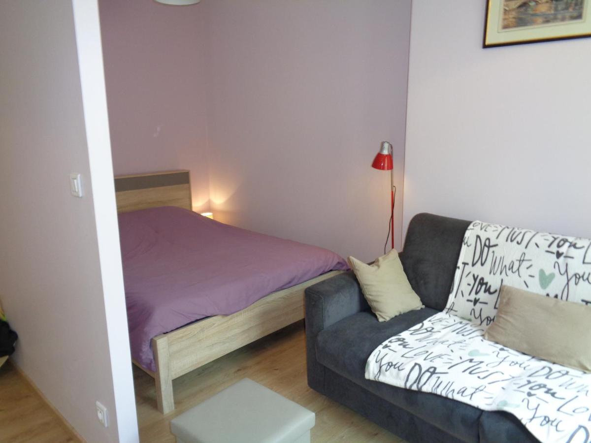 Au Puy Saint Jacques Apartment Le Puy-en-Velay Exterior foto