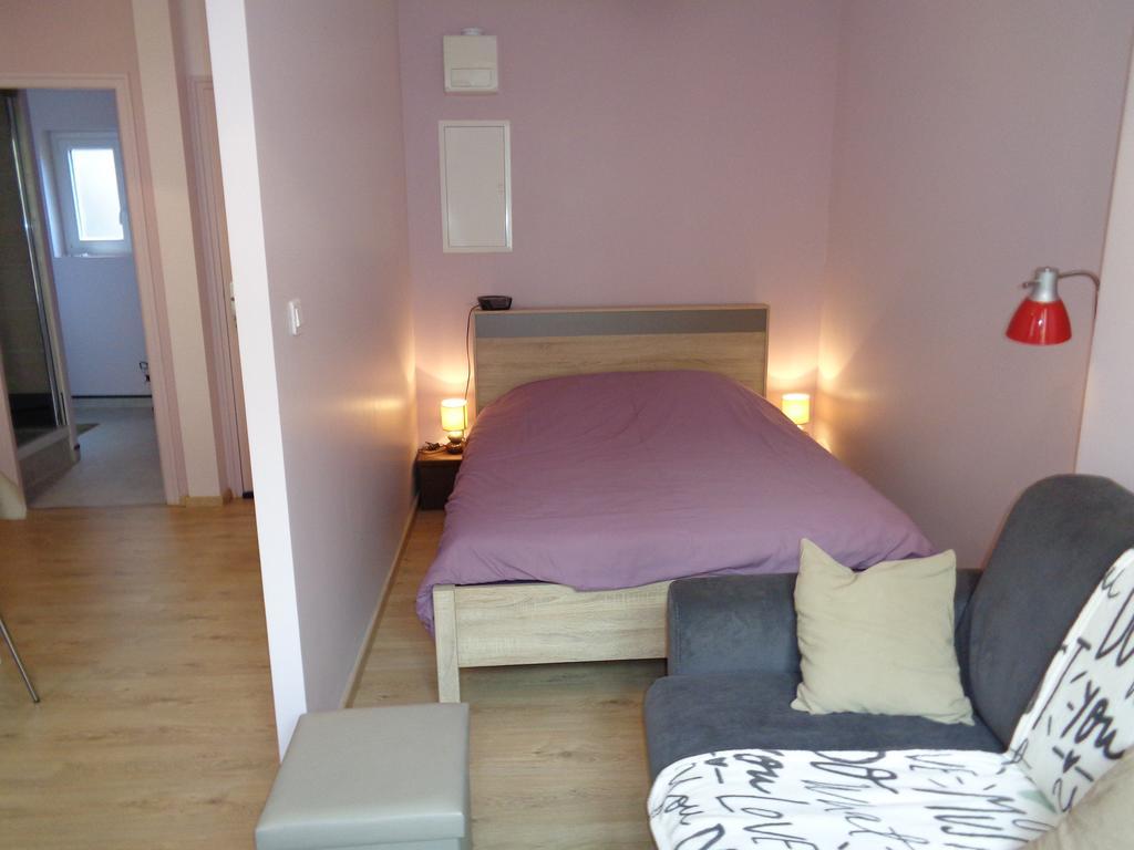 Au Puy Saint Jacques Apartment Le Puy-en-Velay Exterior foto